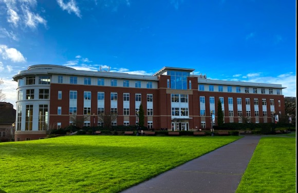 Dr. Preeti Global University